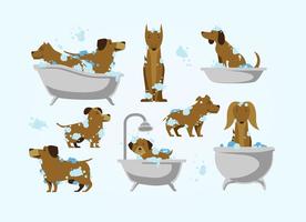 Vector libre de lavado de perro