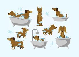 Dog Wash Vector