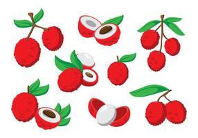 Free Lychee Vector