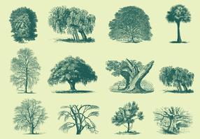 Tree Illustration Free Vector Art 247 491 Free Downloads