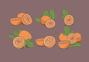 Passion Fruit Vector