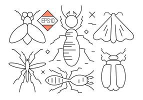 Bug and Insect Vector Icons