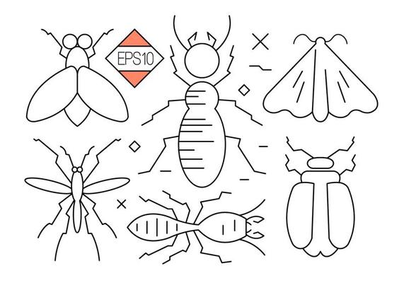 Bug and Insect Vector Icons