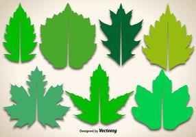 Editable Vector Maple Leaves