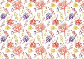 Free Protea Pattern Vectors