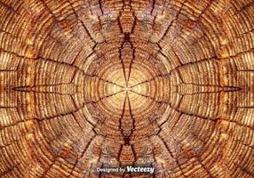 Realistic Tree Rings Close Up Background vector