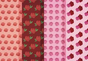 Vector Roses Patterns