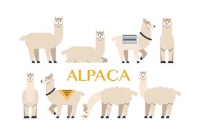 Iconos de vector de Alpaca