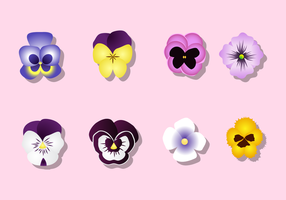 Free Pansy Vector