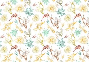 Free herbs Pattern Vectors