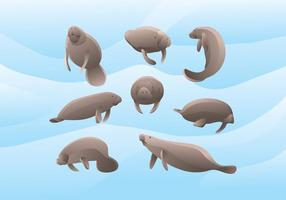 Manatee Vector