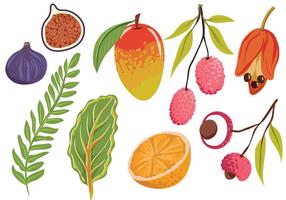 Free Exotic Fruit Leaves Vectors