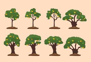 Ilustración de árbol de mango vector