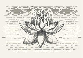 Free Vector  Flower Illustration