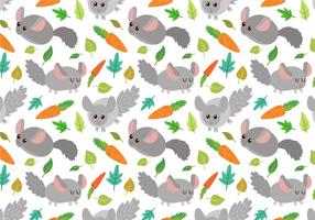 Free Chinchilla Vectors