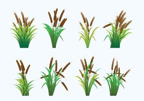 Reeds Icons vector