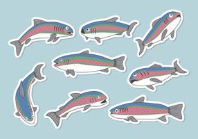 Rainbow Trout Vector