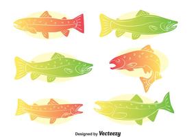 Rainbow Trout Vector Set