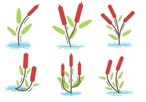 Free Cattails Vector