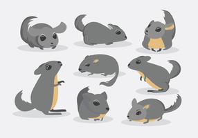 Vector Chinchilla Libre