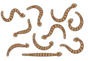 Vectores de la serpiente de cascabel