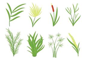 Free Reeds Icons Vector