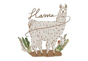 Free Llama Background vector