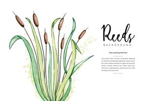Free Reeds Background