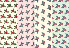 Vector Holly Winter Patterns