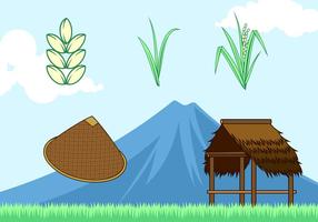 Campo de arroz vector libre