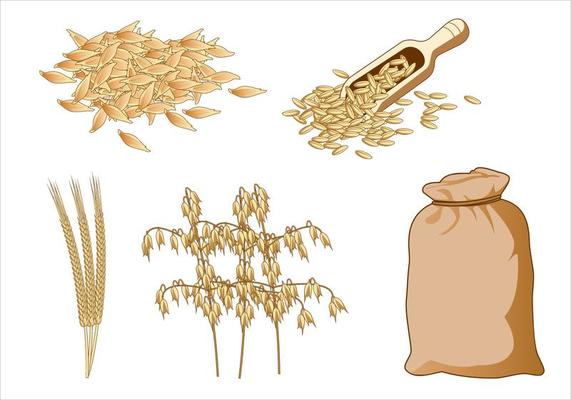 Oats Free vector