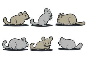 Chinchilla vector