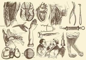 Sepia Anatomy And Health Care Illustrations