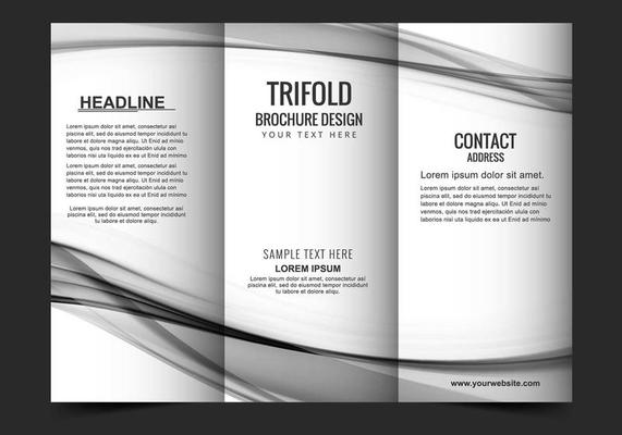 Vector Tri Fold Brochure