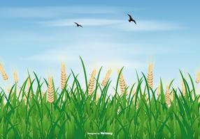 Rice Field Illustration vector