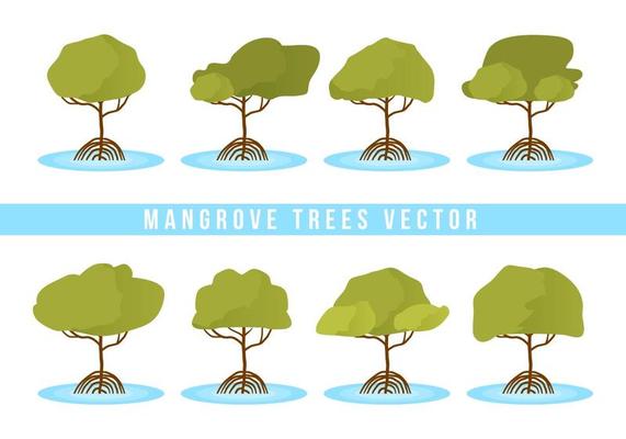 Free Mangrove Trees Vector