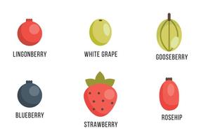 Selection of Berries and Grapes vector