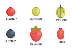 Selection of Berries and Grapes vector