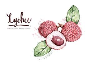 Free Lychee Background vector