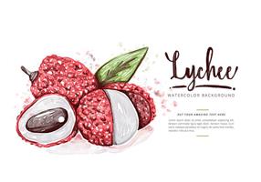 Free Lychee Background vector