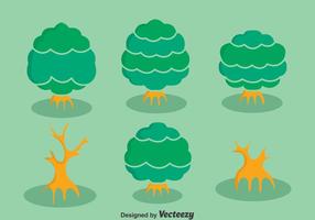 Mangrove Tree Collection Vector