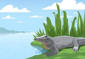 Gator At The Swamp vector