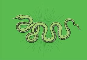 Dibujo de línea serpiente vector