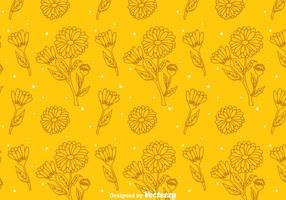 Calendula Orange Pattern vector