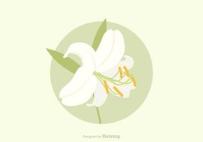 Free Easter Lily Vector