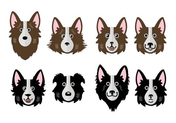 Free Border Collie Vector Illustration