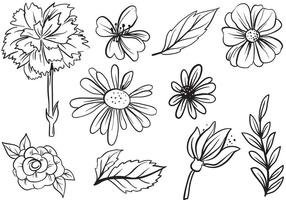 Free Flower Vectors