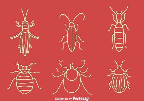 Hand Drawn Small Bug Vector Set