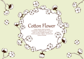 Vector planta de flores de algodón
