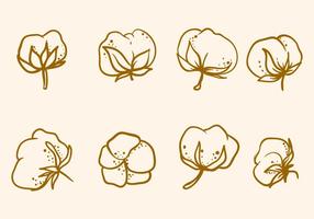 Mano libre dibujado vector de flores de algodón